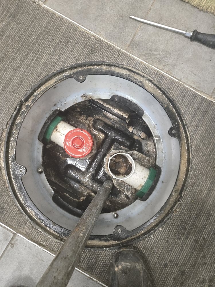 Proper Cleaning